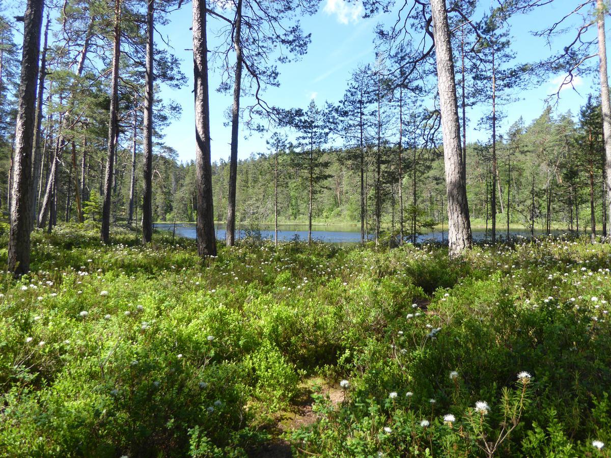 Ydrefors Bed & Breakfast Экстерьер фото