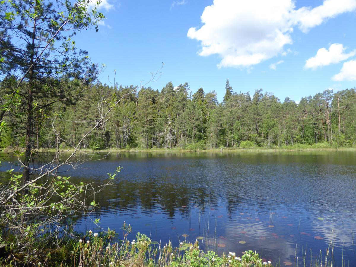 Ydrefors Bed & Breakfast Экстерьер фото